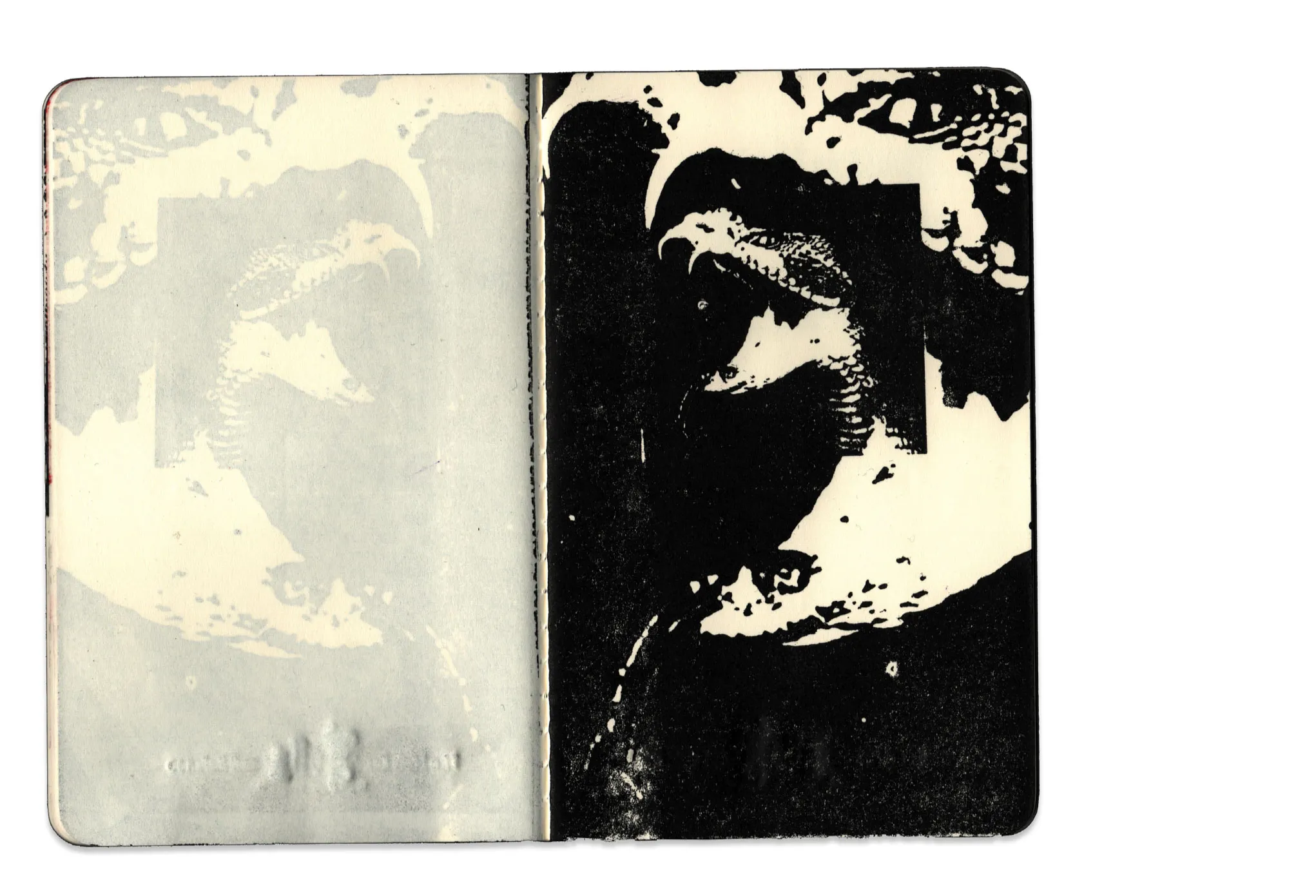 Image-making and type explorations — 5