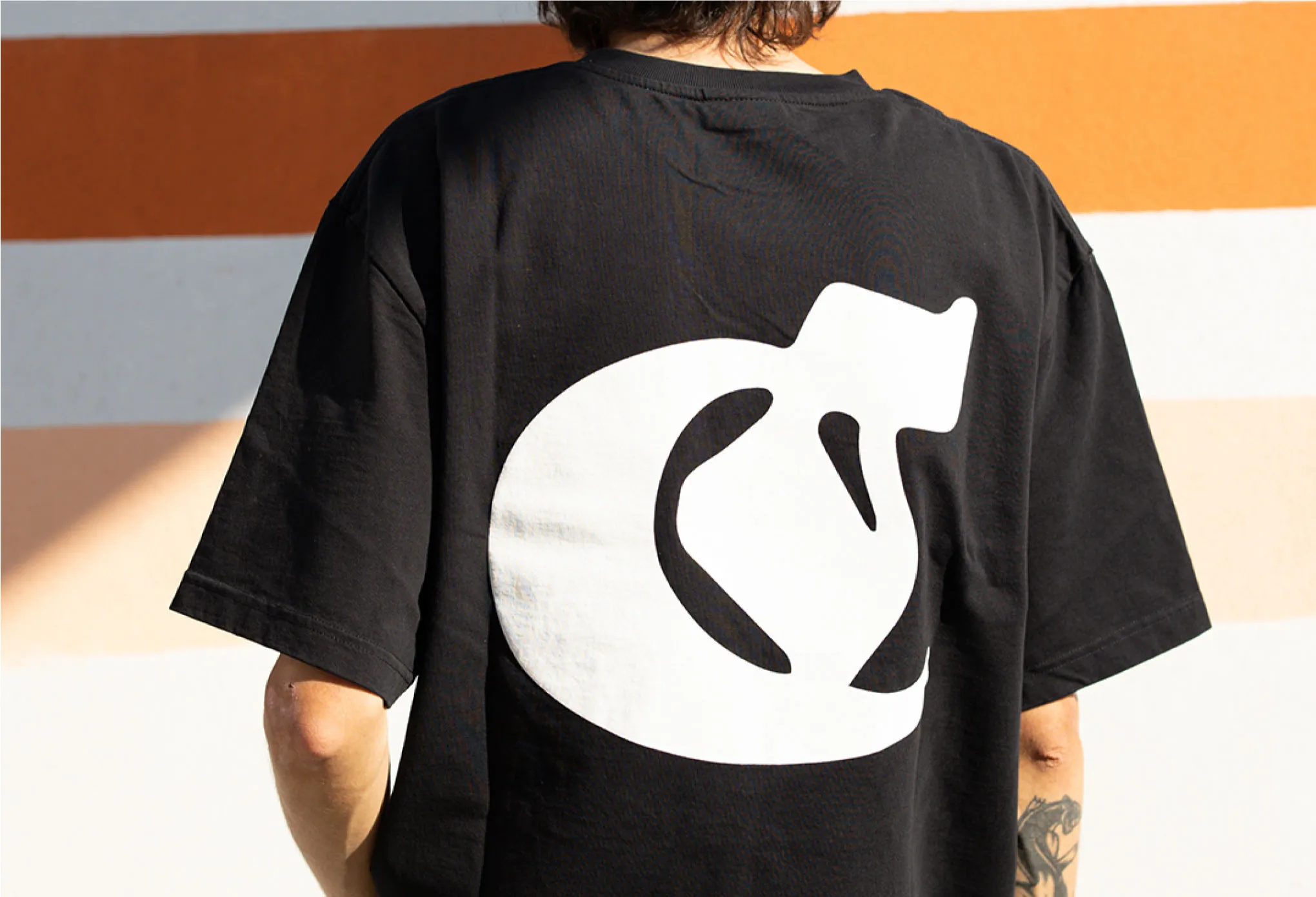 MERCHANDISE for Collective Skateshop — 7