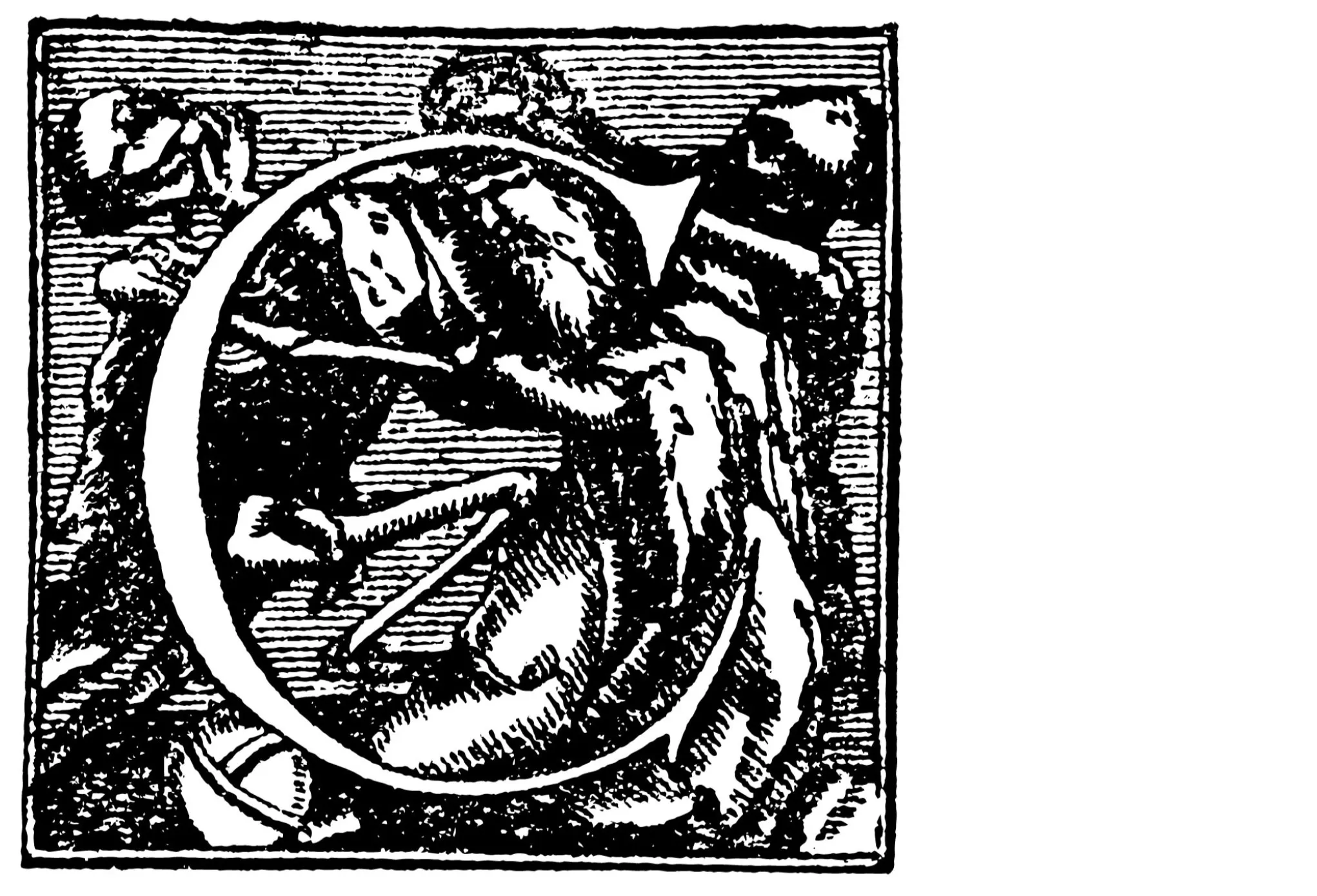 Image-making and type explorations — 9
